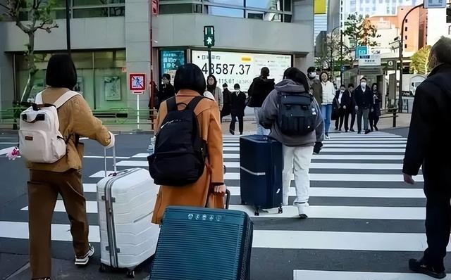 46条中日航线取消才1天，就炸出一群“牛鬼蛇神”，郑强说对了