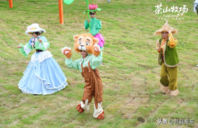 莒县文旅再焕新！浮来青“茶山牧场”开门迎客！