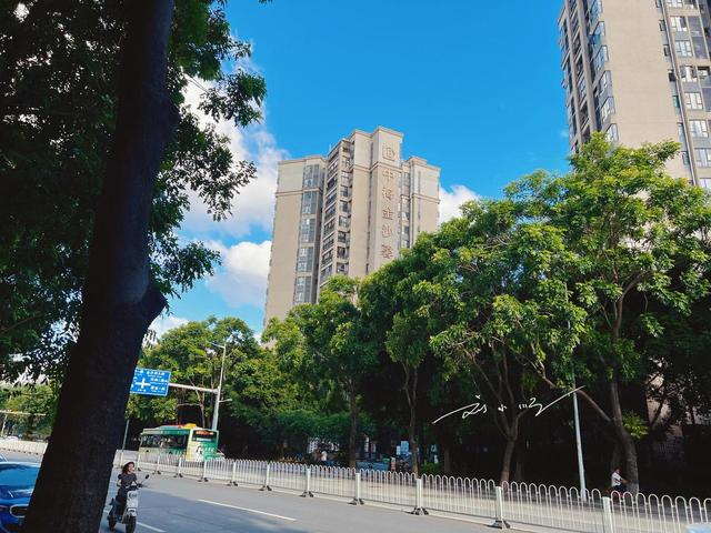 广佛交界的“神奇江岛”：一半属广州、一半归佛山，早已无缝交融