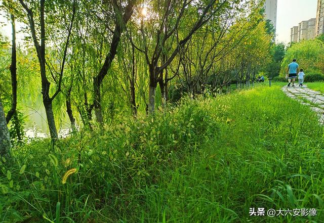 六安：丹桂飘香瓜果甜 山水美景等你来