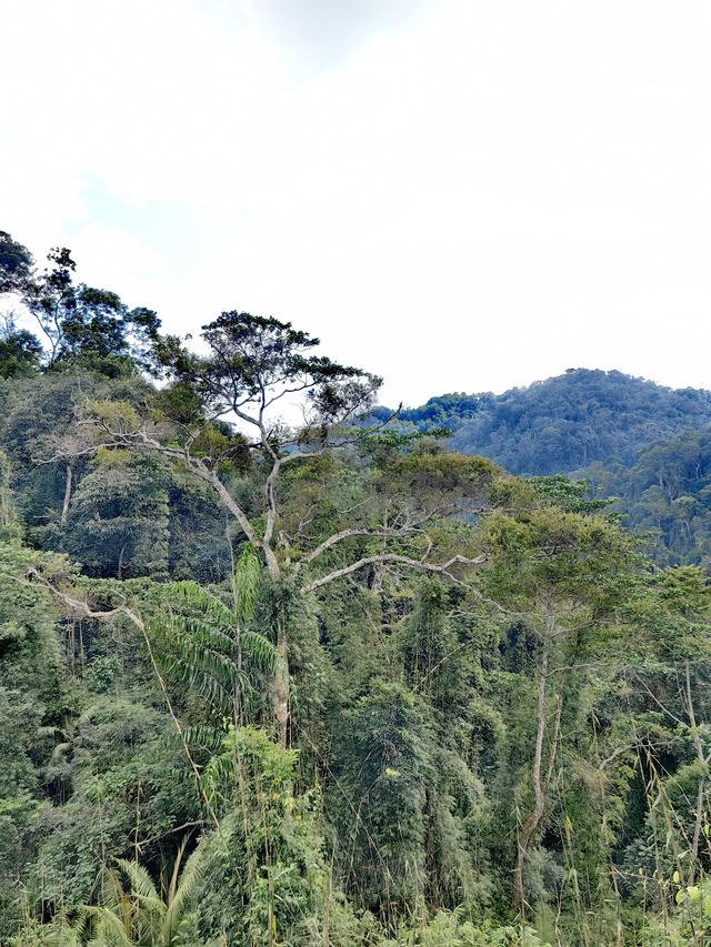草民浅说:《海南自贸港的差距？》——游海南景区想开去！