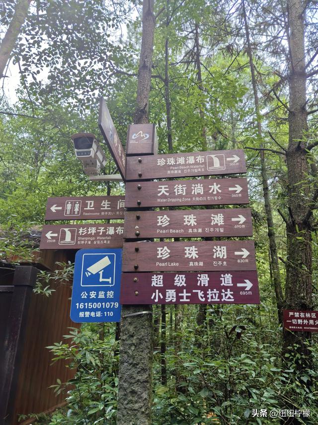 在江津四面山景区看了瀑布爬了梯，又坐了超级滑道听了潺潺流水声