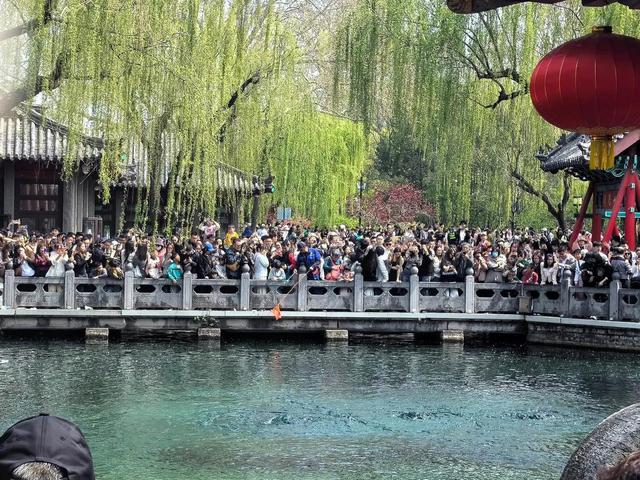 国庆假期，济南多了一个外号，网友：成“挤南”了！