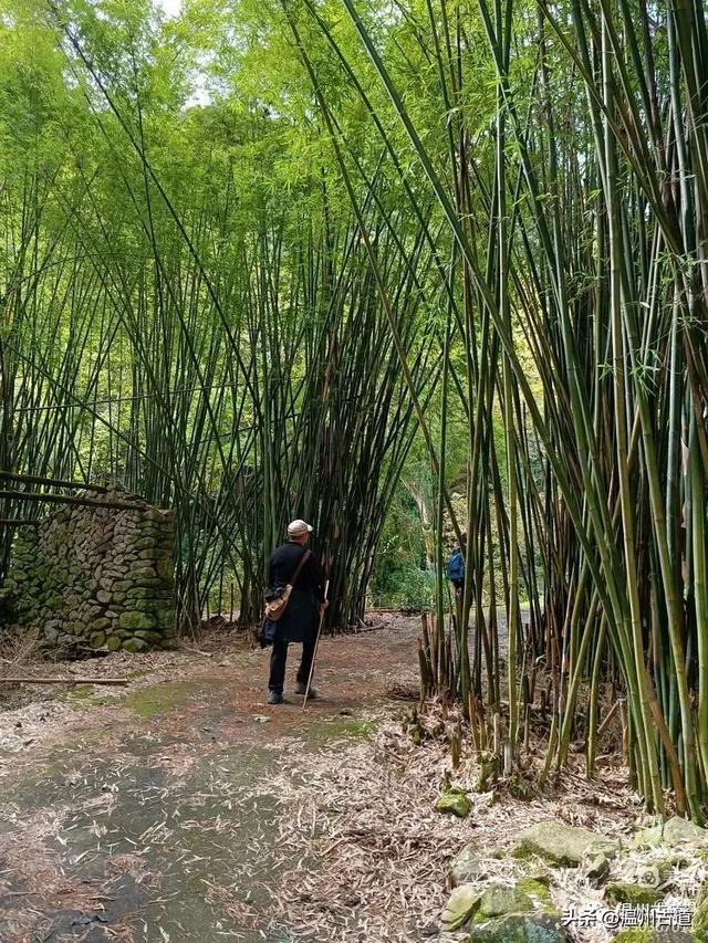 温州这条小众山脊线穿越,风光绝美少有人知,你可去过?