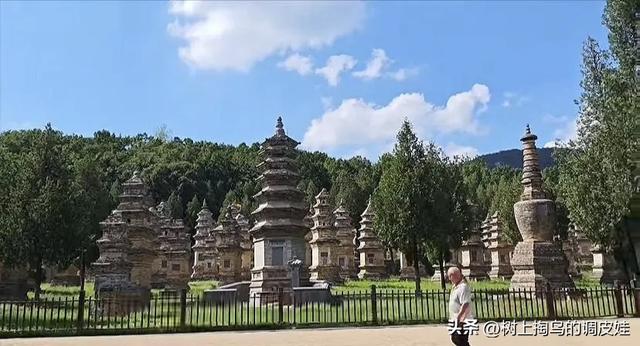 二探少林寺：新方丈上任后的变革与坚守