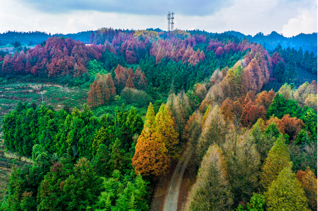 秋天还没过够？那就去乐山留住秋天！