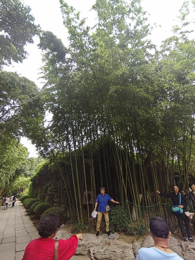 速游济南趵突泉后记