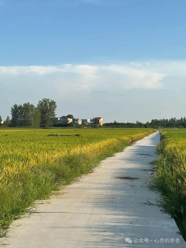 我的家乡胡市美:胡市的兄弟姐妹们看过来