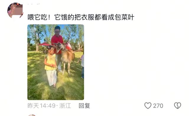 笑麻了！国庆的动物们都吃出工伤了！一看评论区动物们都EMO 了
