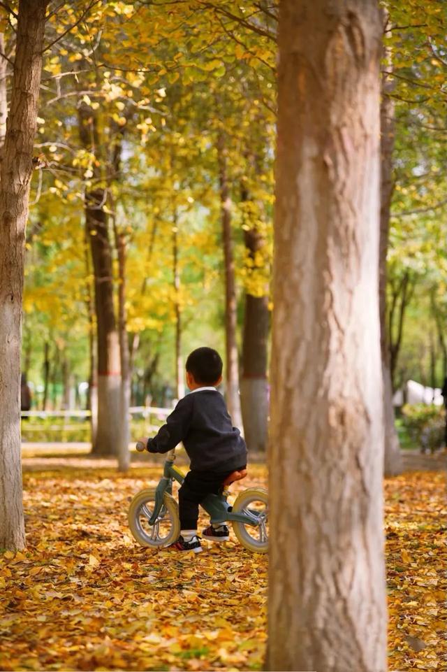 在未央 见一面这叶落启冬的浪漫