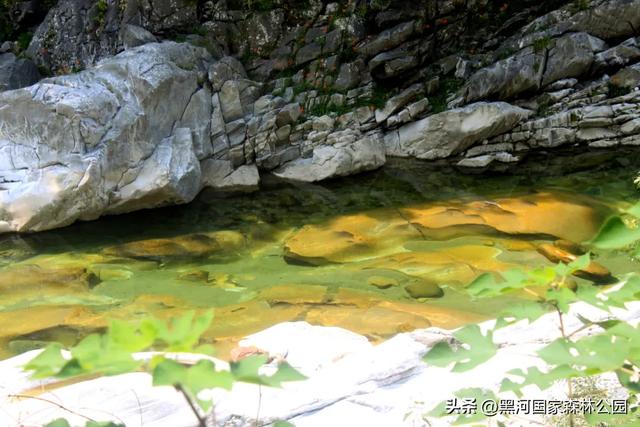 西安人的夏日消暑指南,黑河的清凉山水比空调更治愈→
