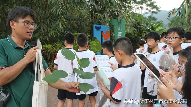 北流容心谷“探索自然之美，传诵诗韵风雅”主题研学活动广受好评