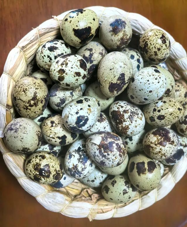 蛋白质是牛肉的6倍、豆腐的10倍！这3种高蛋白食材，大暑后要常吃