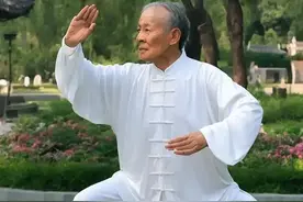 打坐与站桩能同练吗？老拳师拆透3大矛盾与协同法图片