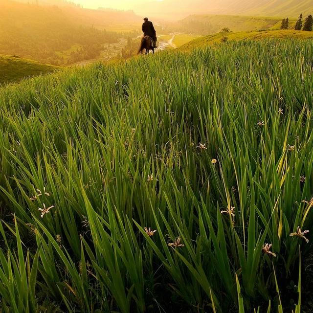 诗和远方 魅影新疆