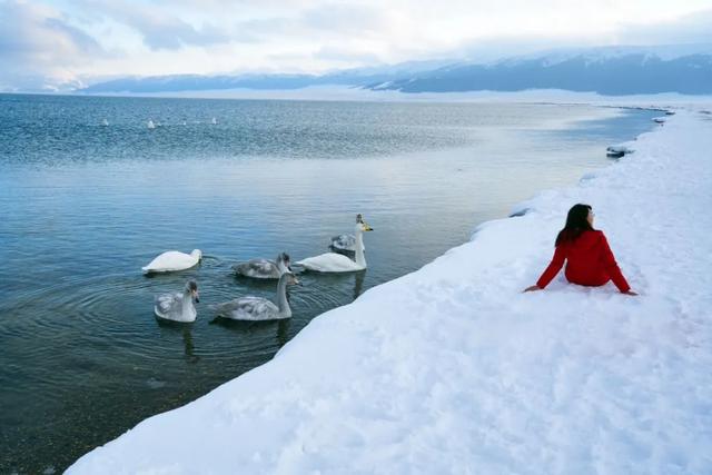 为了这道光，我做了一次疯狂的行动