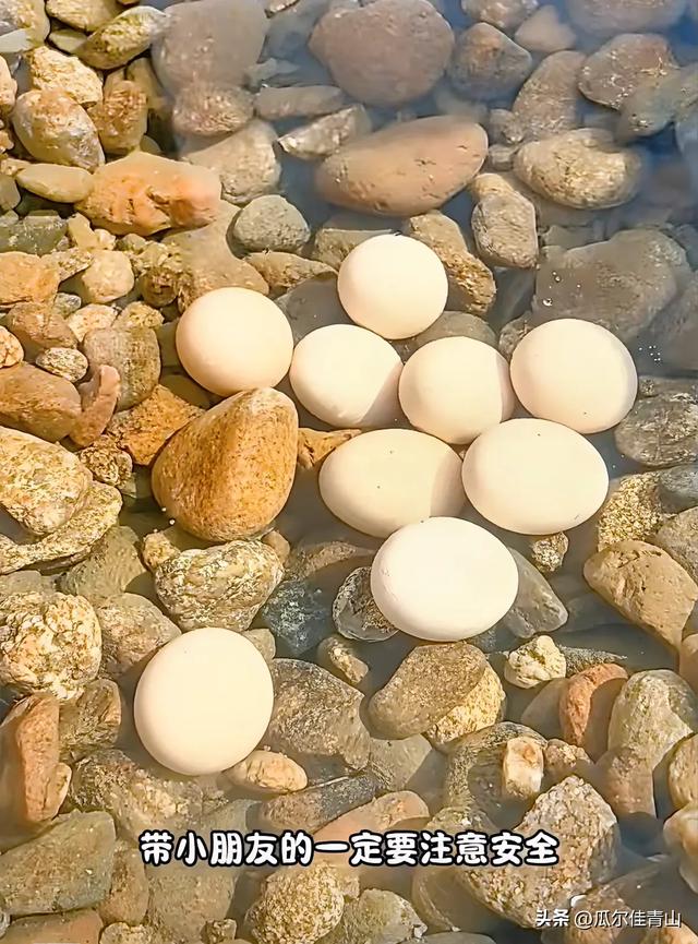 海南:自驾游的最佳去处，陵水南平野温泉