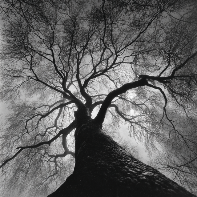 我学会了不为此感到羞愧