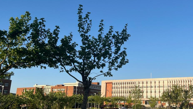 她连续5次上春晚，私下却和恩师同居怀孕被骗流产，现在57岁单身