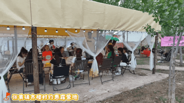 来来来！来鱼台打卡新游玩地点喽
