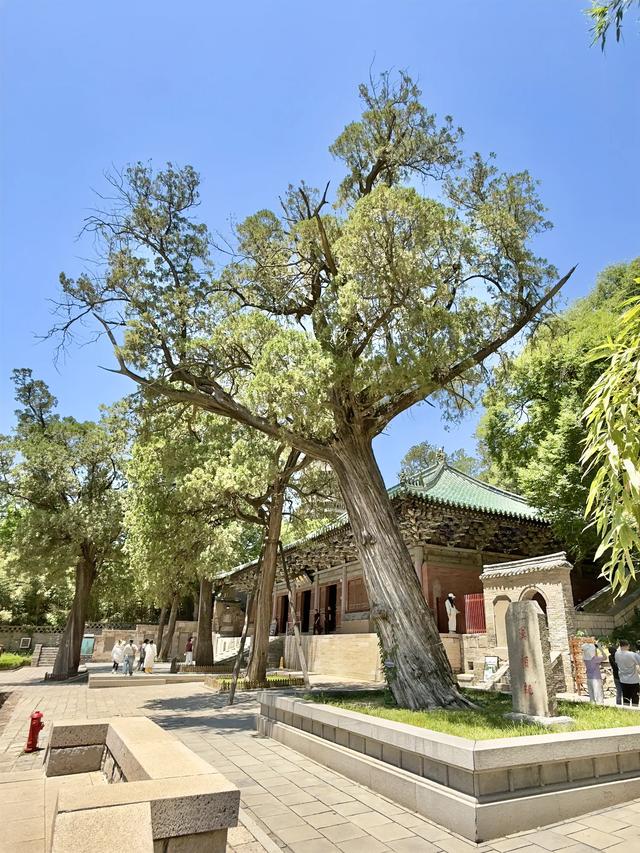 好寺灵岩(济南长清区灵岩寺)