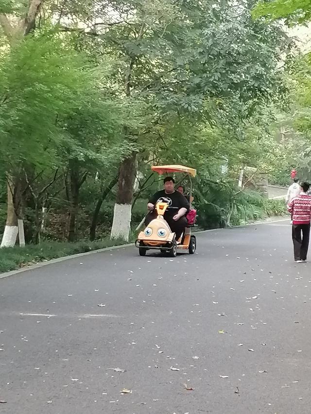 南京栖霞山，当下赏红叶一份实用指南