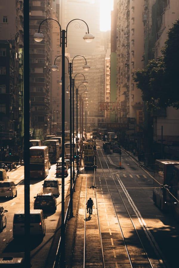 2025 年索尼 Alpha 大奖的获奖照片公布