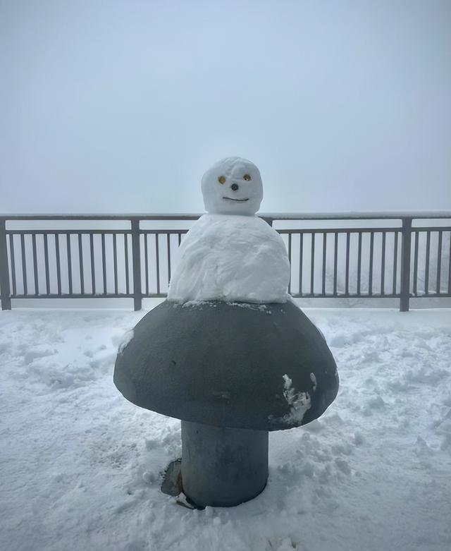 春天又想起来逞能了！今早，大批青岛人憋着想请假：领导，这里突然美得不像话，我能不能去打个卡，晚了怕它化了……