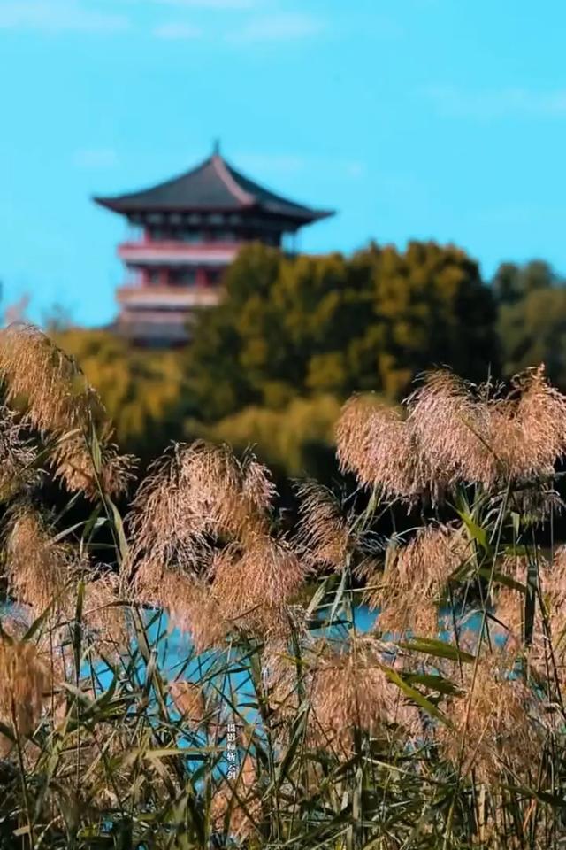 这7处坐游船可沉浸式赏秋的地方，你都体验了吗？