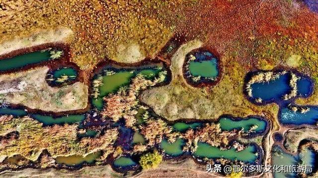 内蒙古杭锦旗：湿地秋景惹人醉
