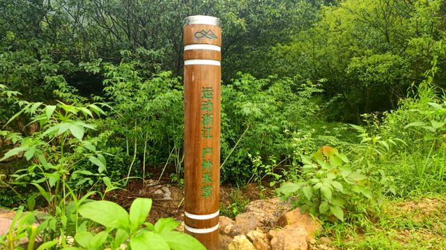 白鹤湾村与太子岭古道：一段镌刻历史与自然的千年传奇