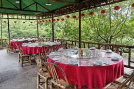 把自己“作死”的农家乐，无情宰客，一份素菜七八十，倒闭8万家图片