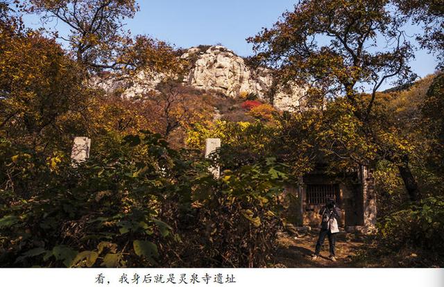 吴秀成：金秋探寻灵泉寺