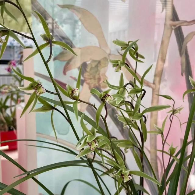 出门冻手冻耳朵！丰台室内去哪儿最温暖，戳——