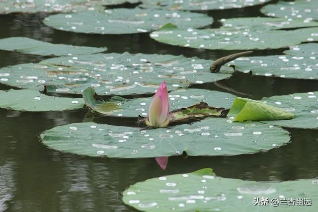 两性关系：为什么65岁后，女人比男人更希望这些，你真的懂吗