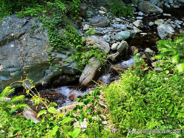 初秋限定美景，在黑河，听见了风与水的私语