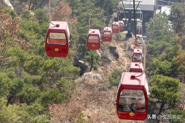 元旦游新甫，追光迎新福！终于能和好友一起撒欢看日出啦~