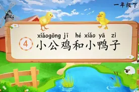 一年级下册语文，第三单元阅读4《小公鸡和小鸭子》笔记+课堂解析图片