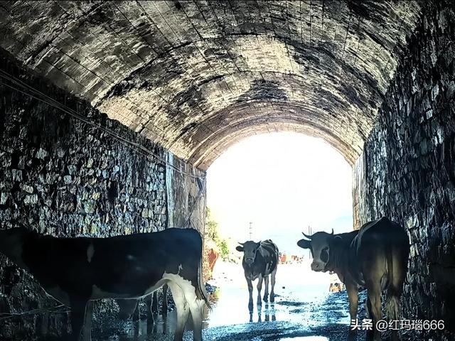 酷暑炎炎,到蔚县大南山避暑,一条免费的自然风光游路线真不错