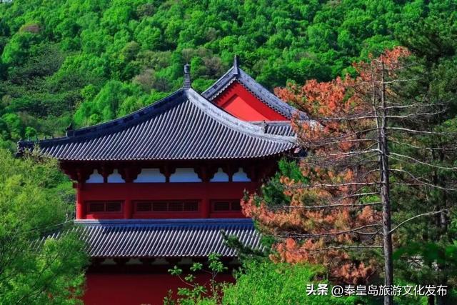 @全体教师，9月10日祖山免票优惠请查收！