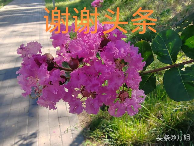 两性关系：女人说的“下次吧”！实际是这个意思	，男人切记要懂得
