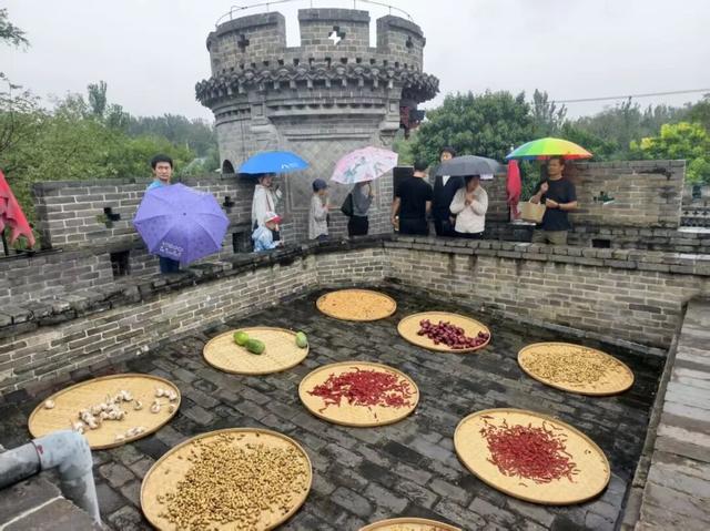多彩滨州迎双节 文旅好礼乐不停│雨润百年古堡！魏氏庄园国庆假期第二天迎高峰，烟火与诗意共燃