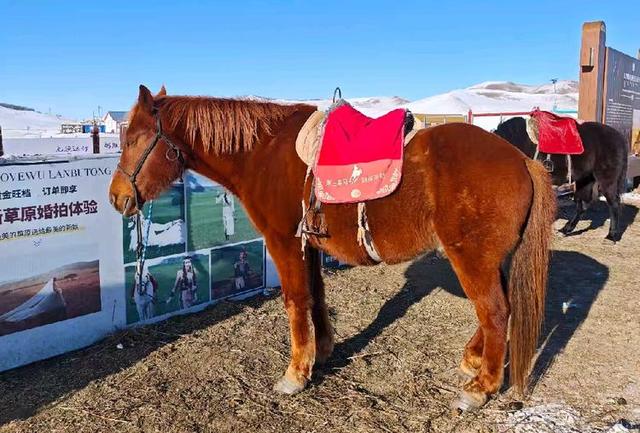 游览乌兰布统影视外景基地