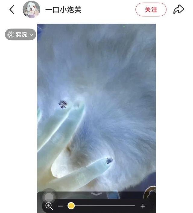 苹果用户注意！iPhone又有实用功能 可以找出虫子 操作方法很简单