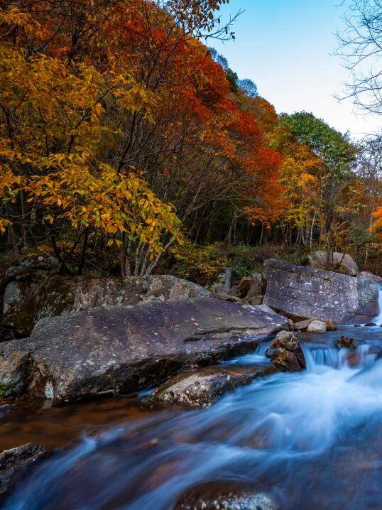 广元旺苍，倒也不必美得如此满分！！！