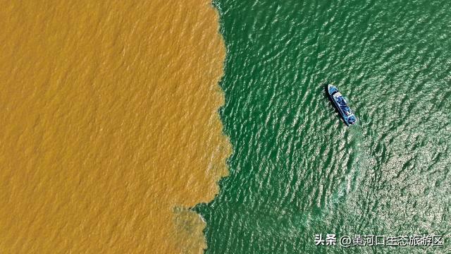 【黄河口生态旅游区】8月8日奥运冠军即将空降黄河口！超燃日程抢先看！