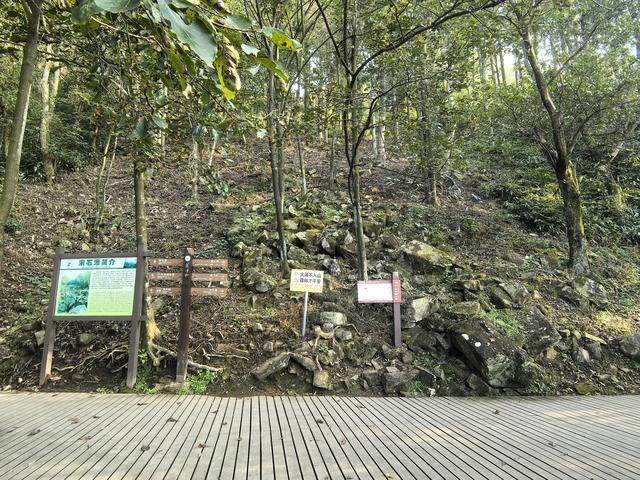 浙江湖州市德清县莫干山国家风景名胜区游记（下）