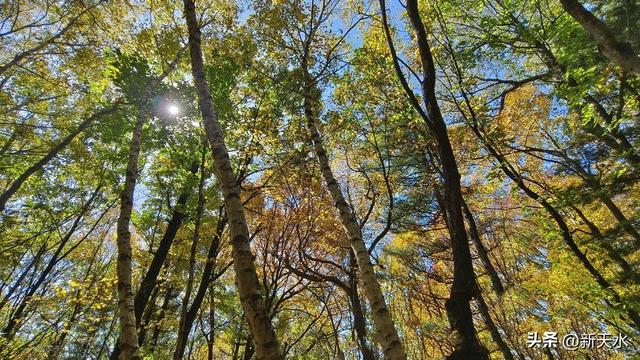 石门秋韵