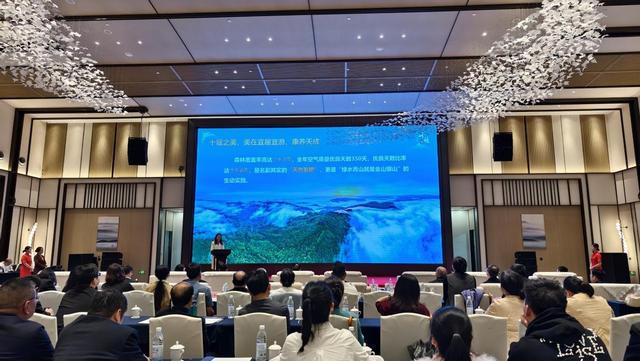 2025中国旅游景区协会旅游度假区高质量发展大会在武当山召开