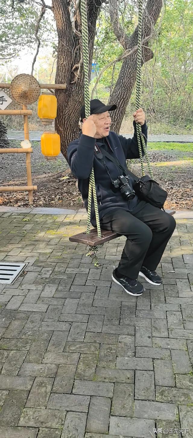 晨光与深呼吸：在同里湿地公园的万步悠然